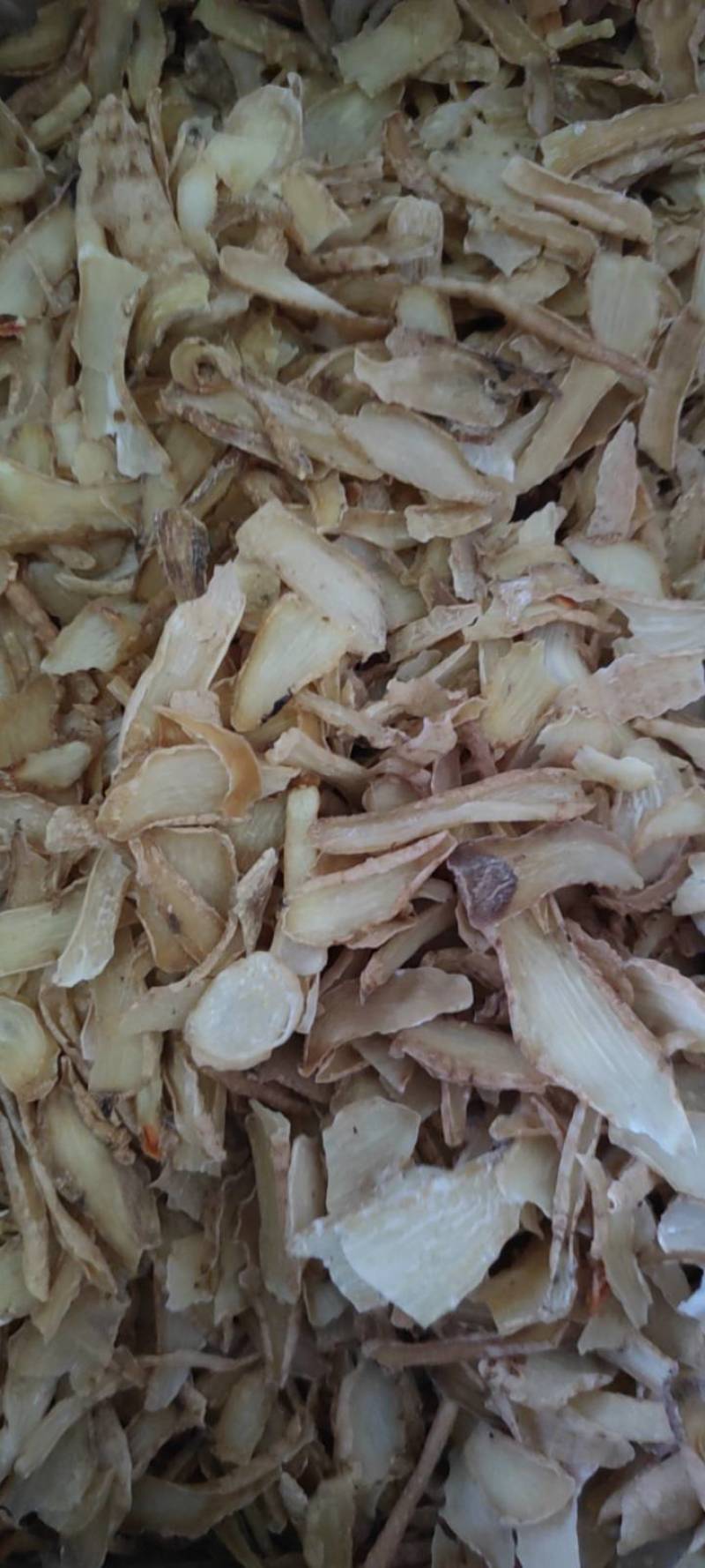 天麻片鲜切无硫纯干天麻片各种规格现货供应