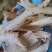 天麻片鲜切无硫纯干天麻片各种规格现货供应