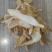 天麻片鲜切无硫纯干天麻片各种规格现货供应