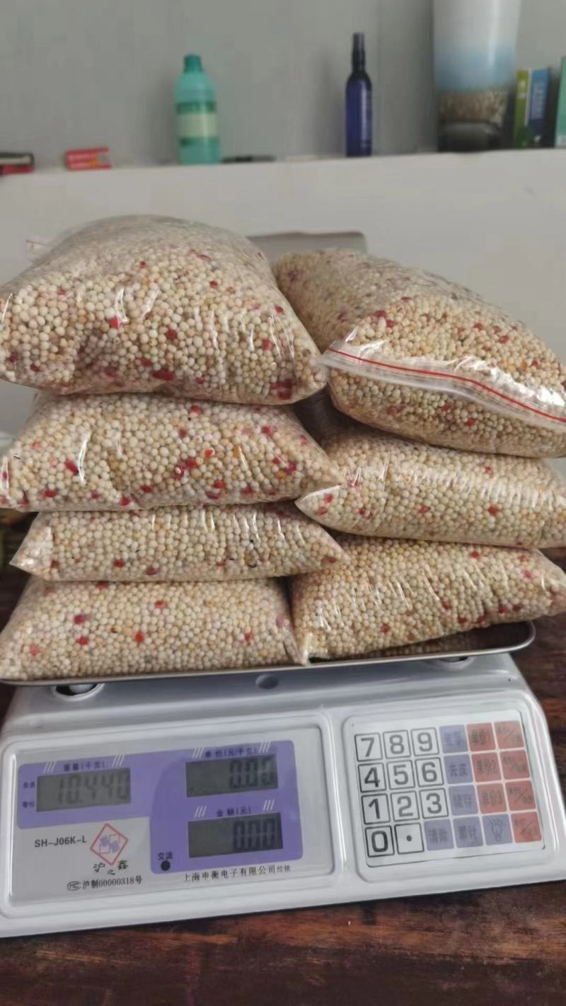 重楼种子高杆好品种带皮去皮，按时采摘，成熟度高