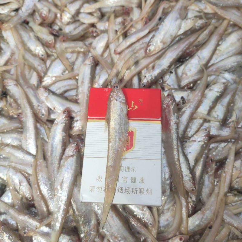 精品毛刀鱼，大量供应，可以做小包装，欢迎大家合作