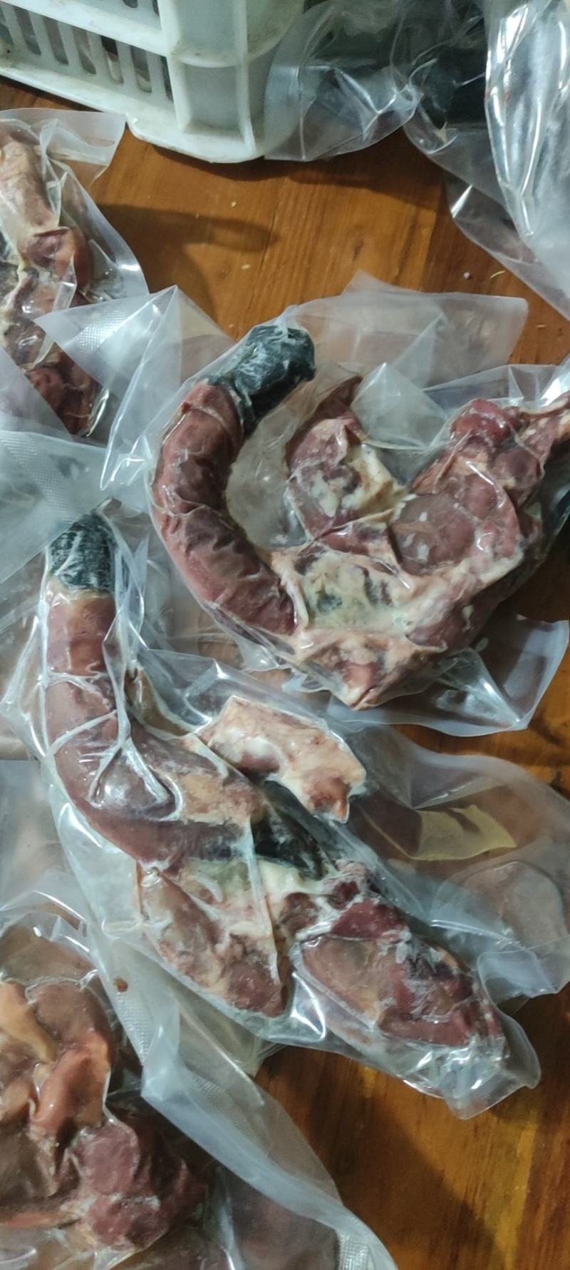 熟马鞭