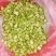 新鲜蚕豆，豆米，大量有货，量大从优，欢迎来电