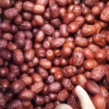 新疆灰枣一级