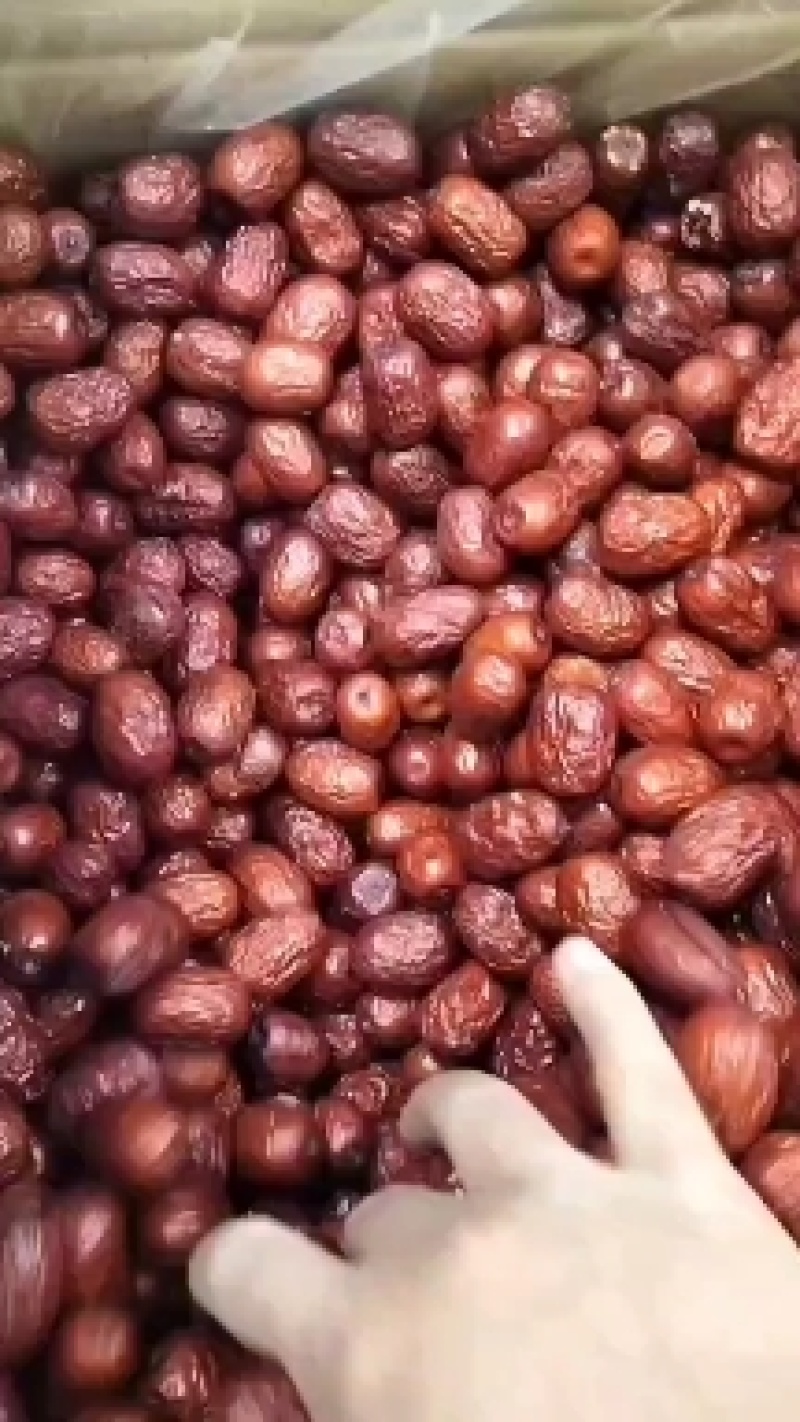 新疆灰枣一级