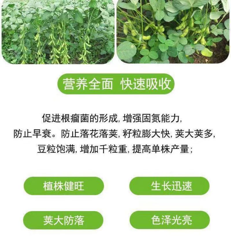 拉长嫩直花荚饱豆角芸豆扁豆豆类专用叶面肥拉长拉直膨大素