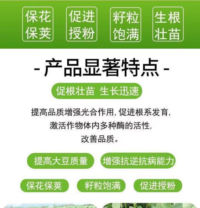 拉长嫩直花荚饱豆角芸豆扁豆豆类专用叶面肥拉长拉直膨大素