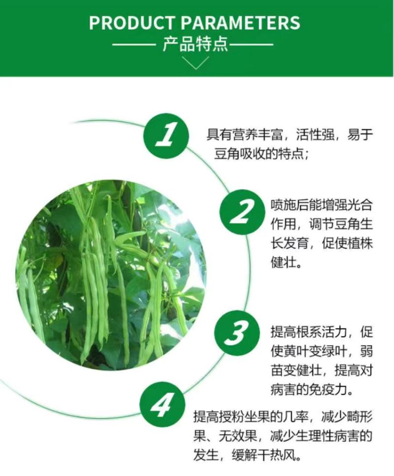 拉长嫩直花荚饱豆角芸豆扁豆豆类专用叶面肥拉长拉直膨大素