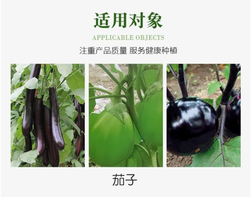 茄子黑亮膨果增产素茄子叶面肥膨大素增色亮果上色促根壮苗