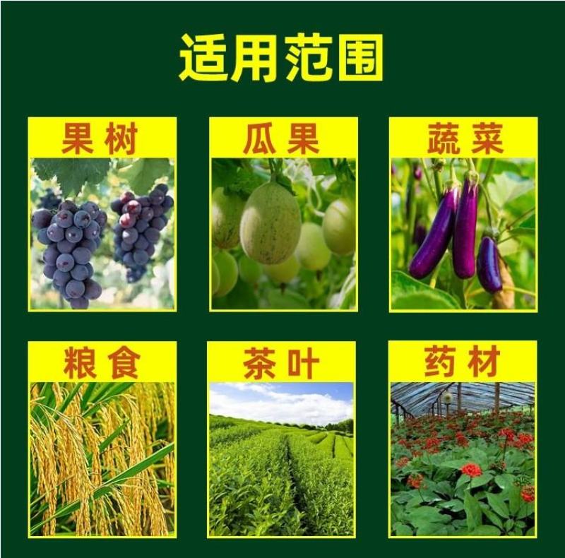 催花授粉座果精超强授粉保花保果促进开花抗寒抗旱