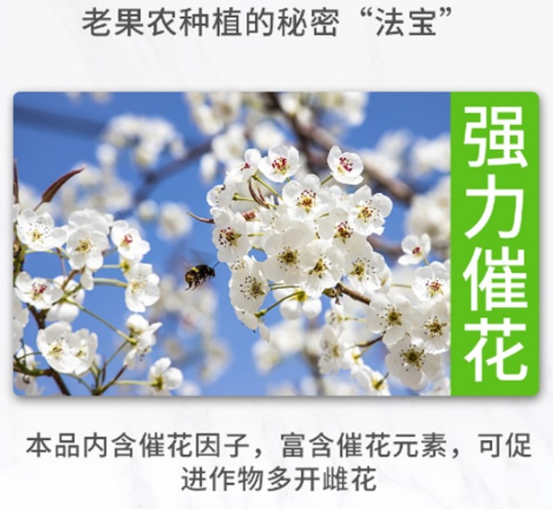 催花授粉座果精超强授粉保花保果促进开花抗寒抗旱