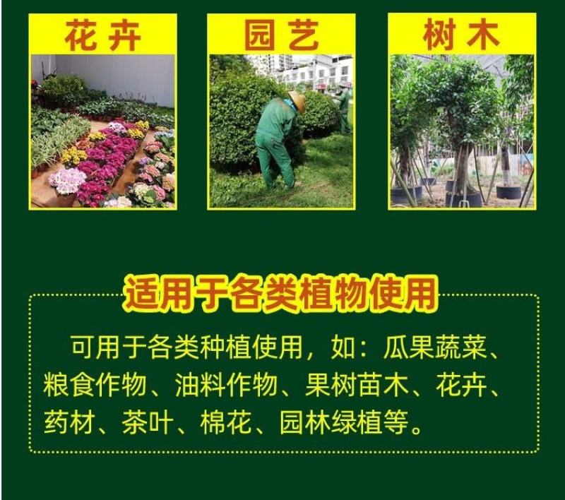 催花授粉座果精超强授粉保花保果促进开花抗寒抗旱
