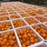 现货精品脐橙，纽荷尔出售，品质保证欢迎全国客商前来选购