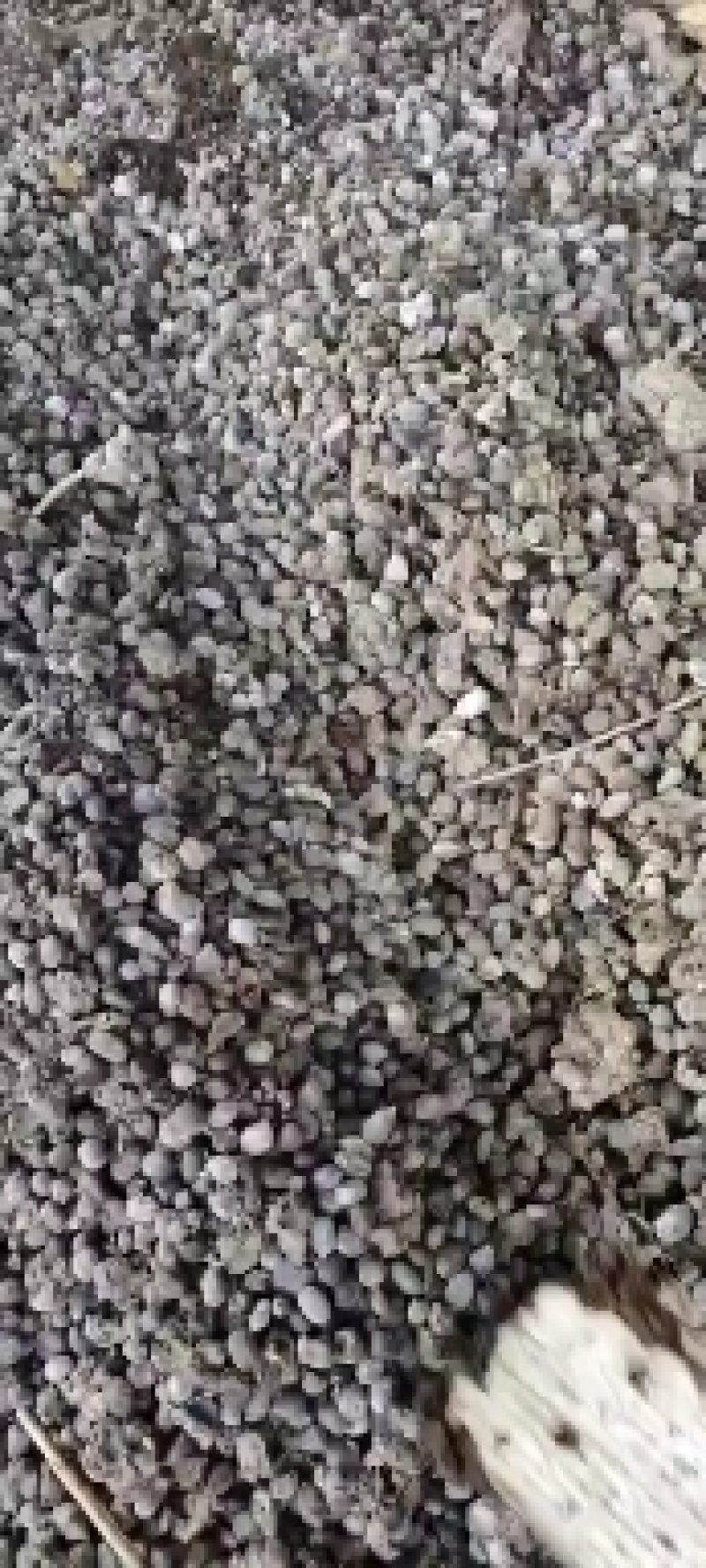 羊屎，纯羊粪有机肥。