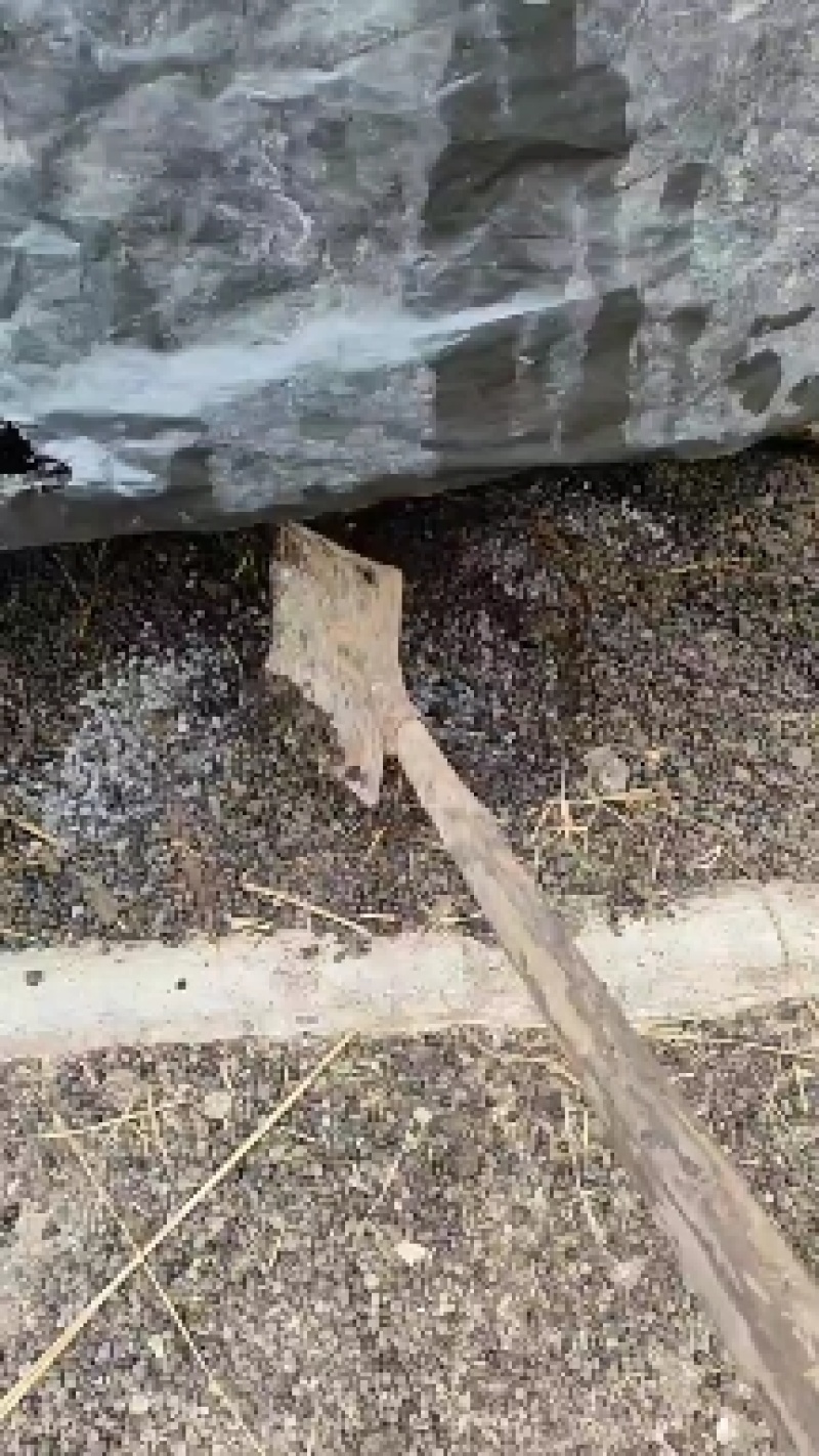 羊屎，纯羊粪有机肥。