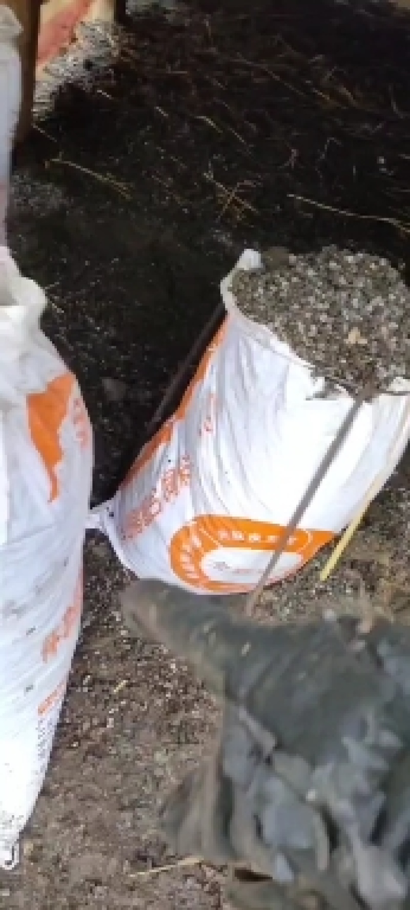 羊屎，纯羊粪有机肥。