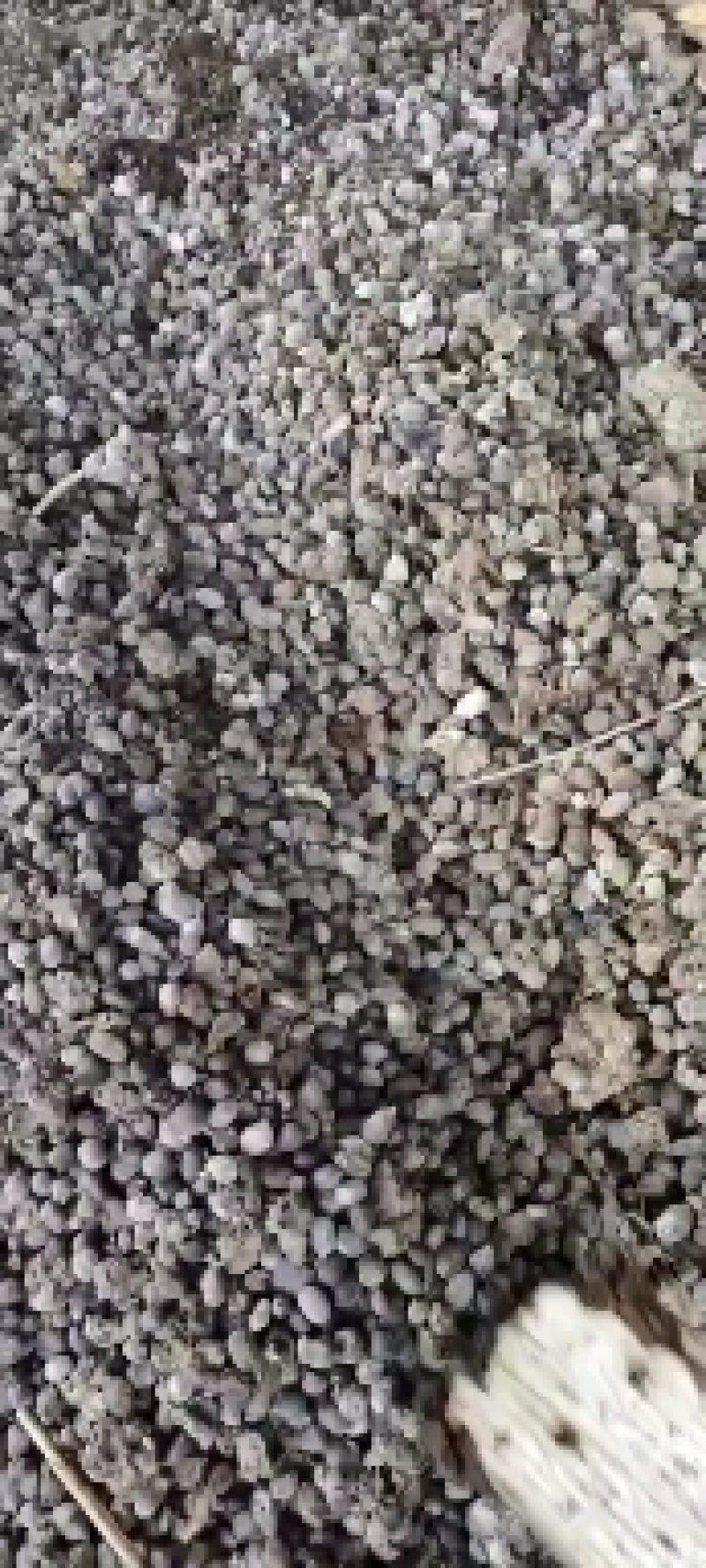 羊屎，纯羊粪有机肥。
