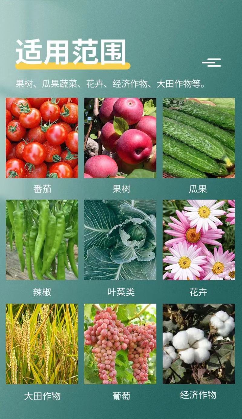 源沃肥业哈次木霉菌品质保证欢迎咨询合作