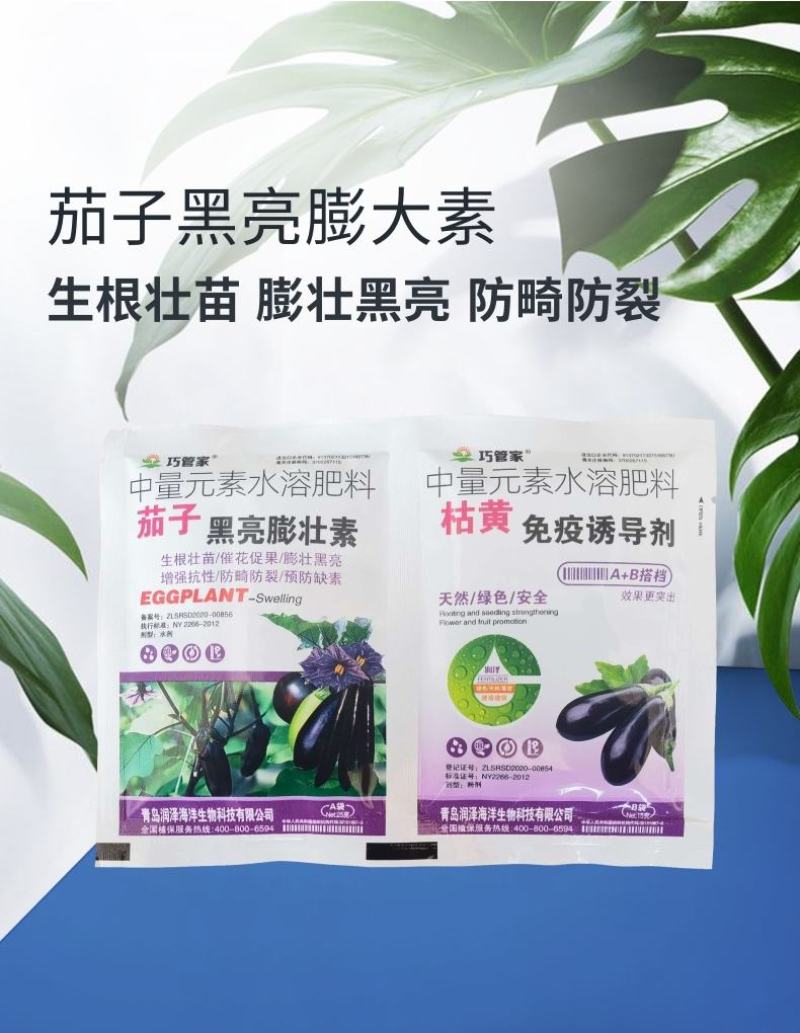茄子黑亮膨大素茄子叶面肥膨果素亮果拉长上色保花保果