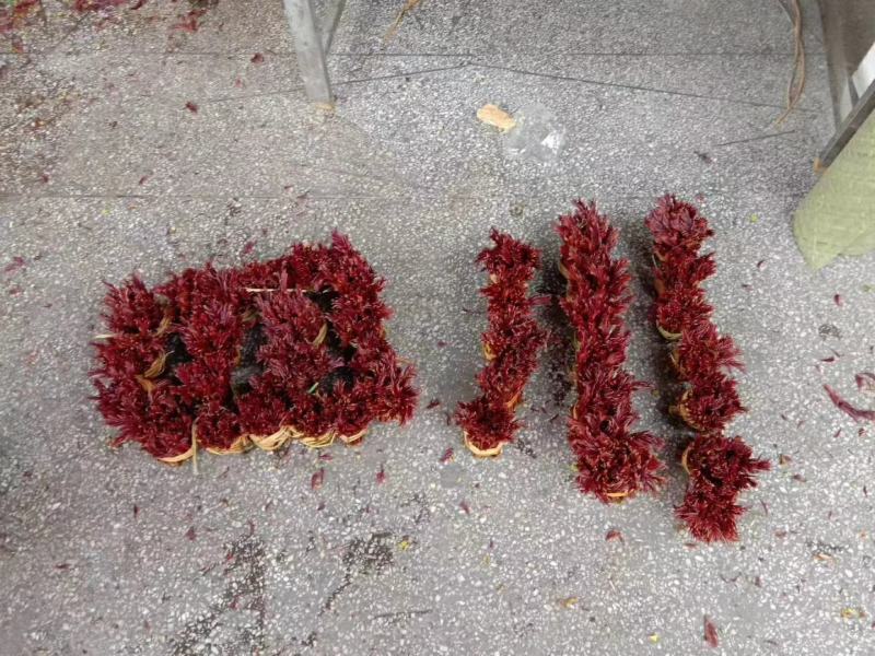 大竹香椿，承接批发，代收，代发等各种业务