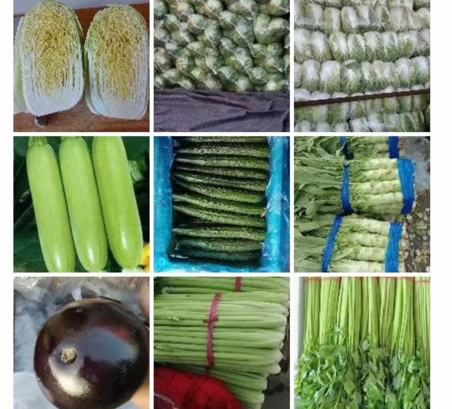 展示菠菜与茄子主要营养成分的柱状图 菠菜与茄子的营养成分对比图