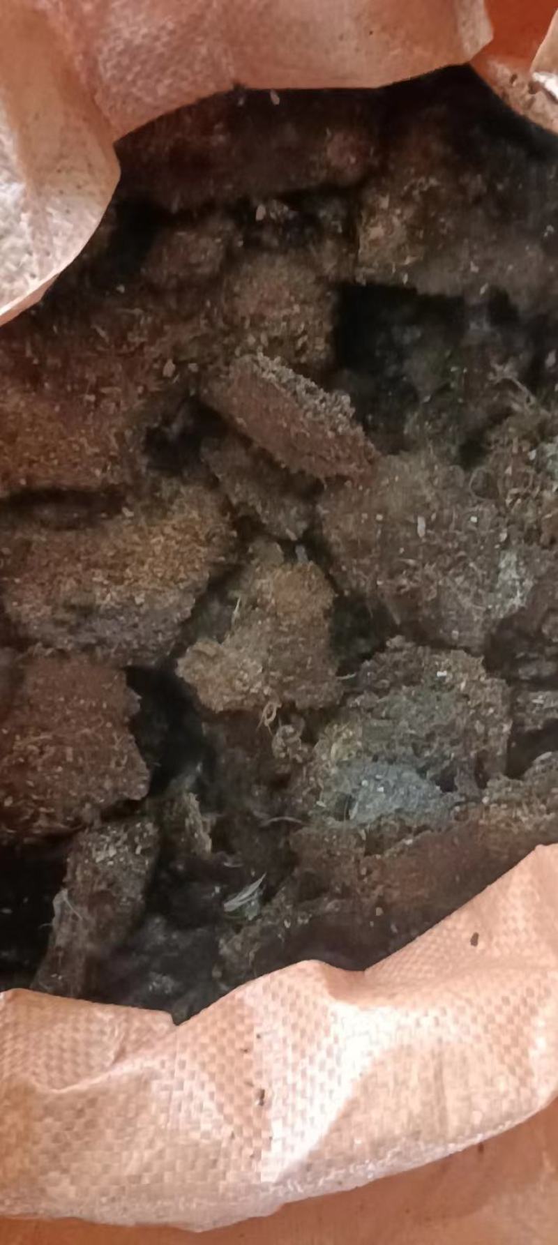 鸡粪块，一手货源，货量大质优，常年供应，欢迎选购