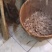 【肥料】花生枯，厂家一手货源，稳定供货，欢迎咨询