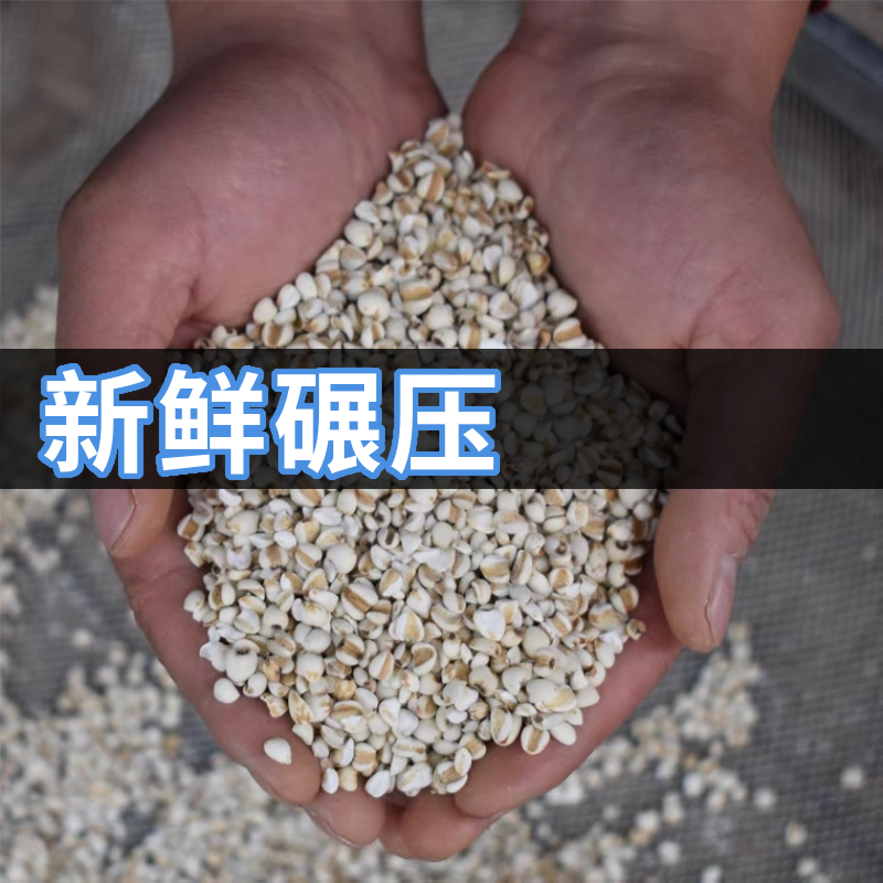 当季新货薏米仁贵州薏米绿色无硫***可免费打粉