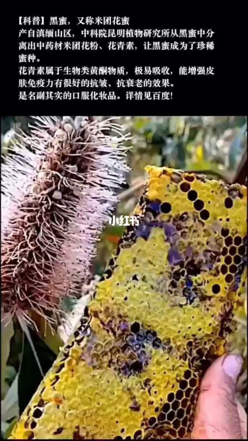 米团花黑蜜