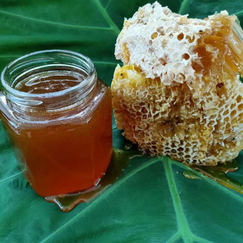 野生大挂蜜