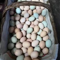 散养土鸡蛋绿壳粉壳双色混装长期供应保质保量确保新鲜