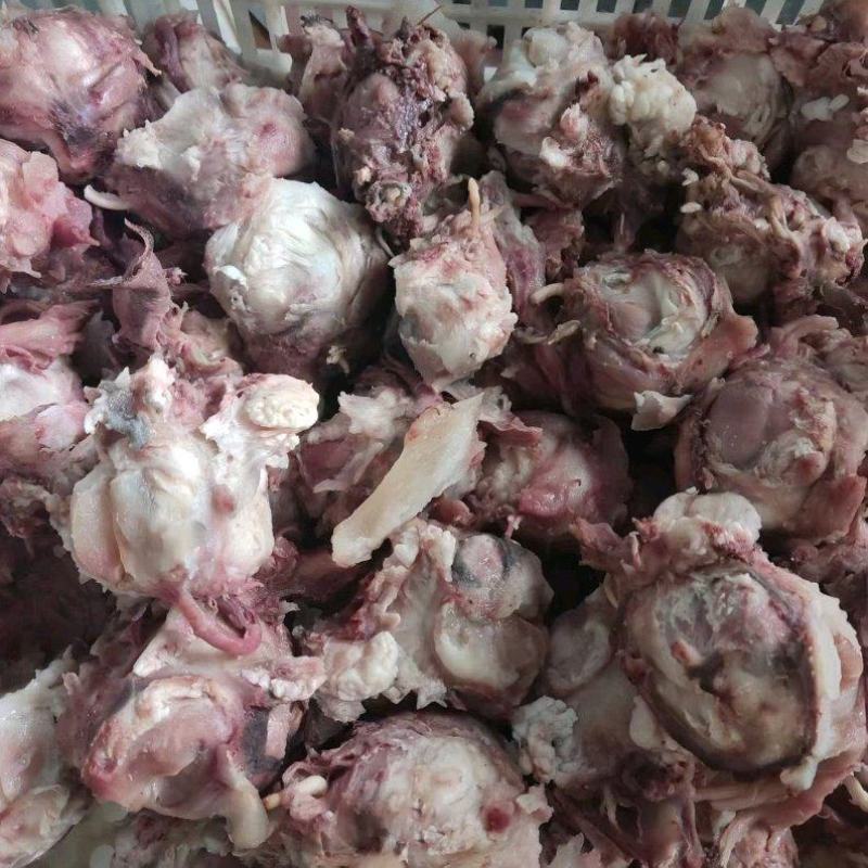 [优选产品]牛眼一手货源天天加工货源充足