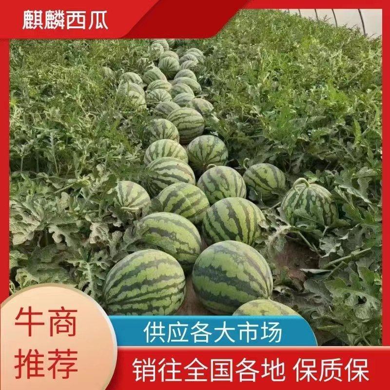 云南美都西瓜，瑞丽美都西瓜，盈江美都麒麟西瓜，商超档口