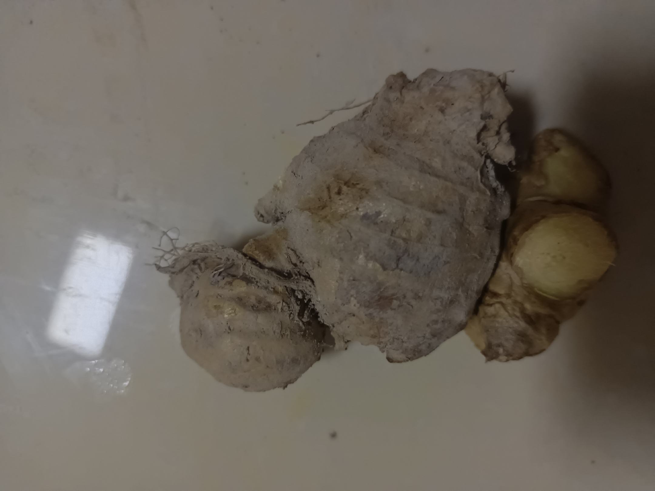 生姜泥在菜肴中的应用图