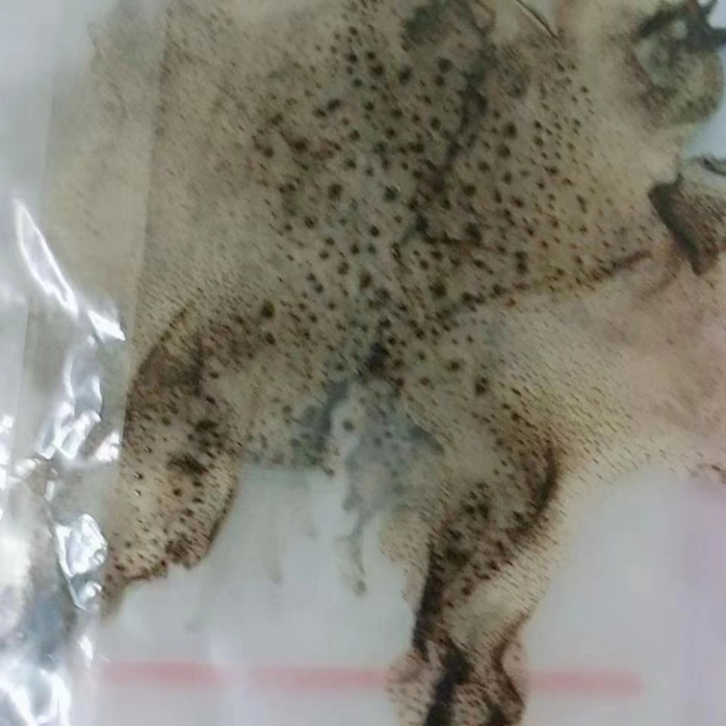 蟾衣千蟾衣癞蛤蟆衣干蟾蜍皮蟾蜍衣蟾衣老蟾蜍粉有蟾皮