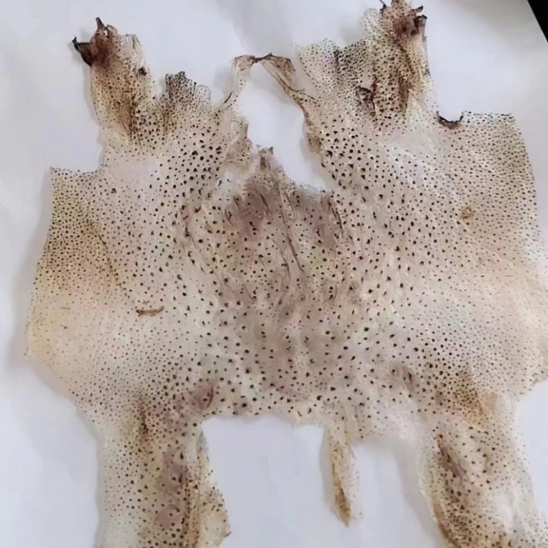 蟾衣千蟾衣癞蛤蟆衣干蟾蜍皮蟾蜍衣蟾衣老蟾蜍粉有蟾皮