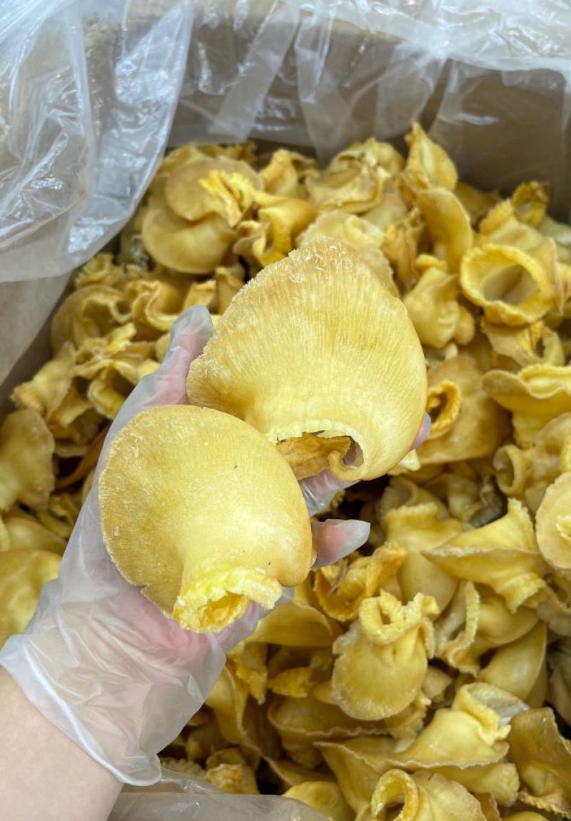 金钩鲍翅鱼翅翅针，其实挺多的，口感胶质很好，有针有胶