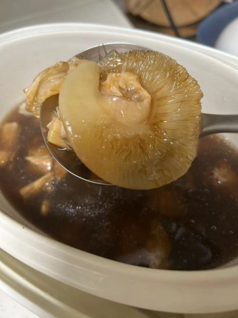 金钩鲍翅鱼翅翅针，其实挺多的，口感胶质很好，有针有胶