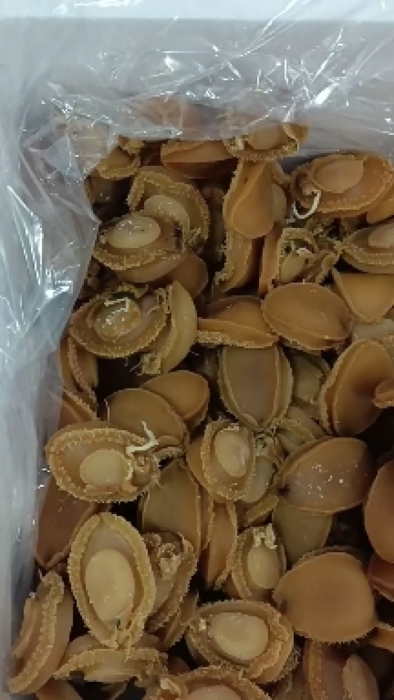 纯鲍鱼肉鲍鱼