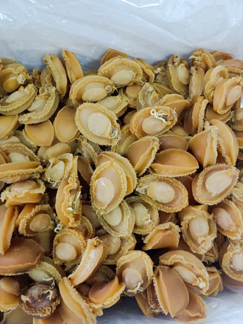 纯鲍鱼肉鲍鱼