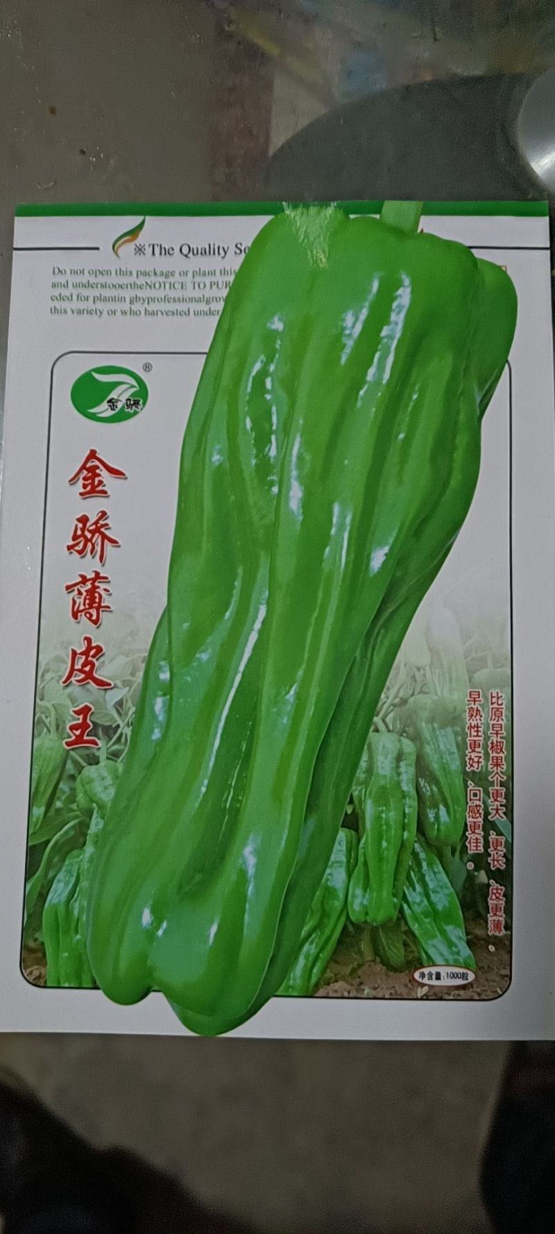 【精品苗】辣椒苗薄皮菜椒苗泡椒苗苏椒5号抗病免费技术指导
