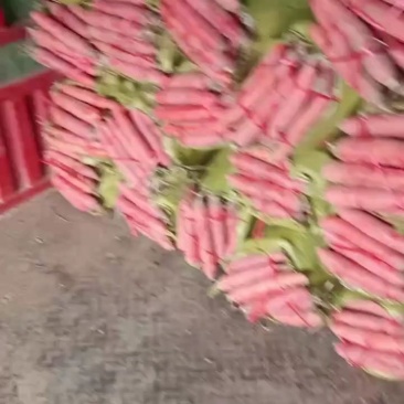 精品胡萝卜！三红品种！本地的都有！产地直供！