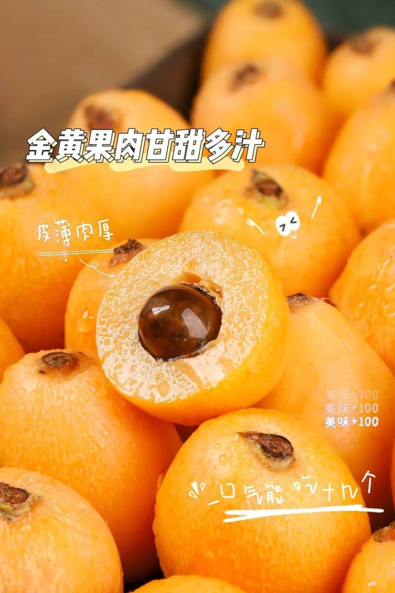 【热卖推荐】四川枇杷大五星枇杷，包邮整箱5斤3斤