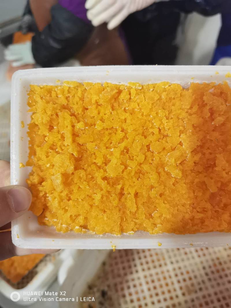 海胆黄，炒鸡蛋，煲汤，包饺子，火爆产品