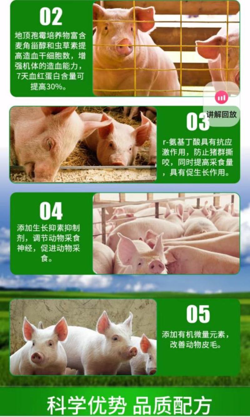 猪饲料特色毛血旺厂家直发保质保量欢迎进店选购