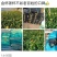 大量元素水溶肥，高氮型30-10-10+TE量大从优