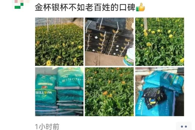 大量元素水溶肥，高氮型30-10-10+TE量大从优