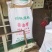 烘干酱油渣