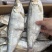 新到白磷鱼，口感好，鲜度好，摆摊佳选，超低价走