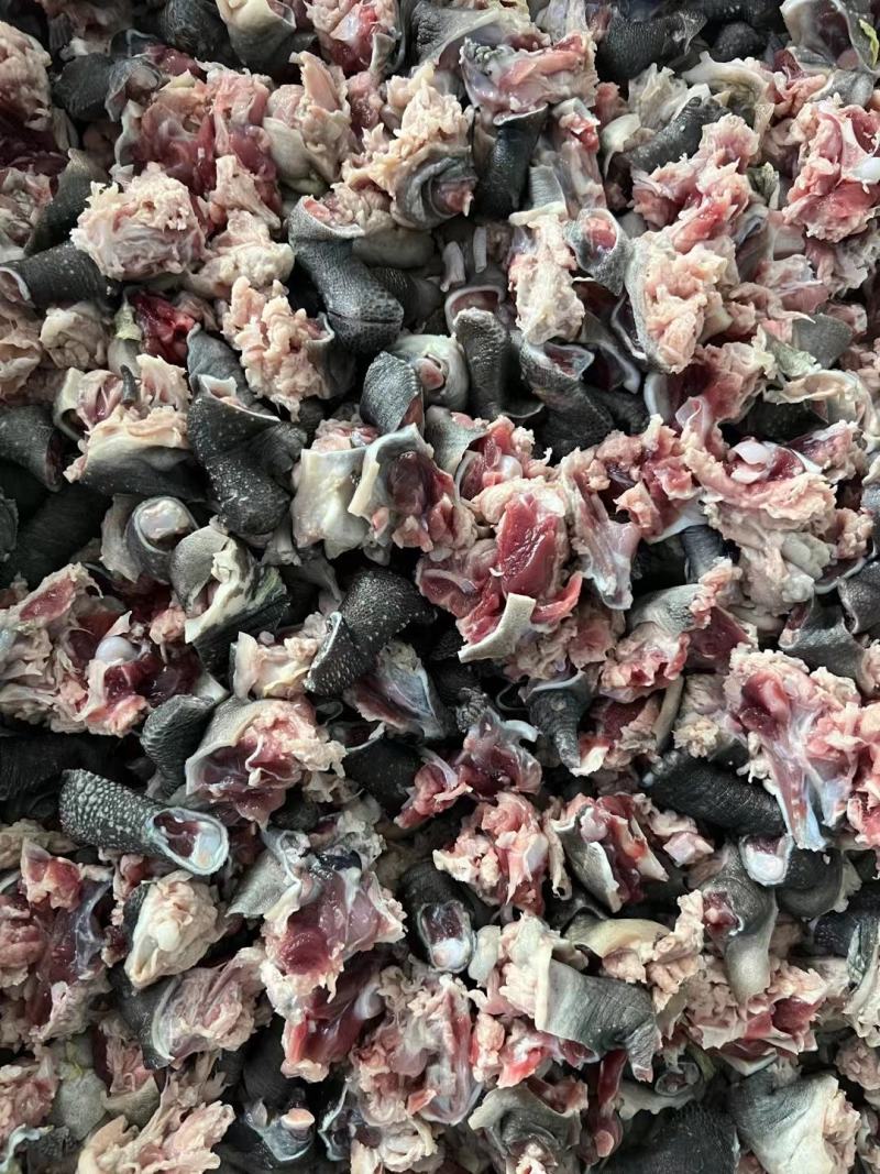 荆沙乌龟，四年左右草龟肉，肉质鲜嫩，火锅